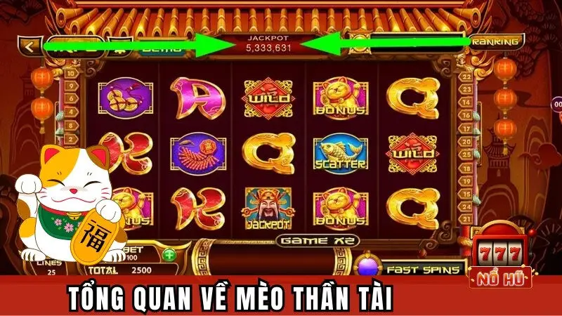 Tổng Quan Về Mèo Thần Tài